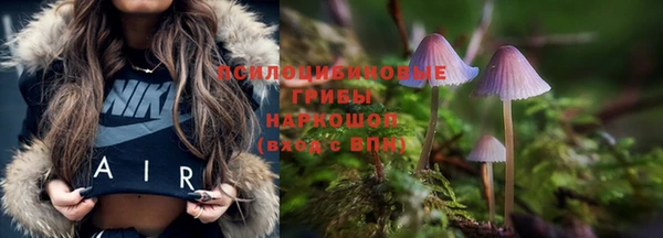 дживик Наволоки