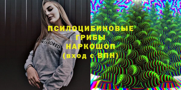 дживик Наволоки