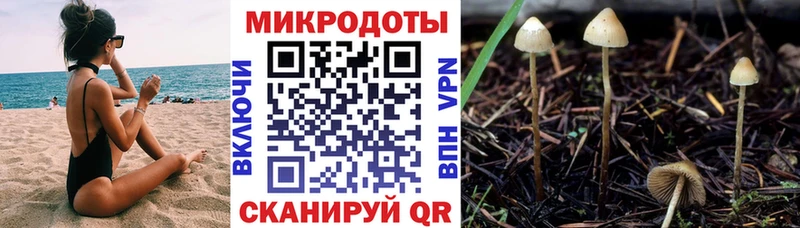 купить  сайты  Тетюши  дарк нет Telegram  Псилоцибиновые грибы ЛСД 