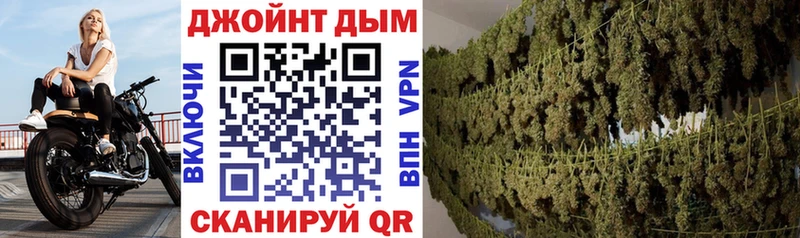 закладка Тетюши Каннабис OG Kush
